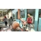 微信视频2026-03-22_084727_063.mp4_snapshot_00.17.094.jpg
