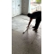 IMG_3239.MP4_snapshot_00.10.068.jpg